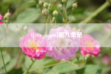 金华第九金是