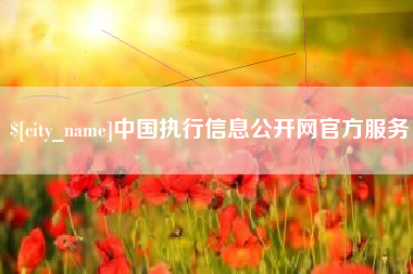 金华中国执行信息公开网官方服务