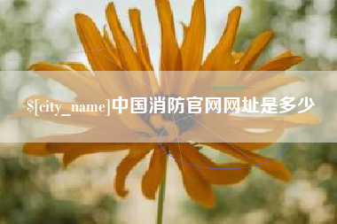 金华中国消防官网网址是多少