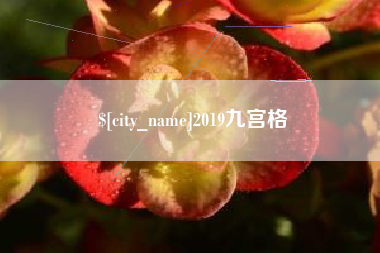 金华2019九宫格