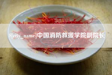金华中国消防救援学院副院长