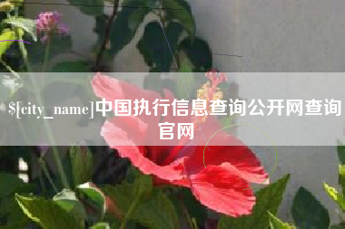 金华中国执行信息查询公开网查询官网
