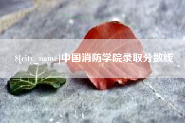 金华中国消防学院录取分数线