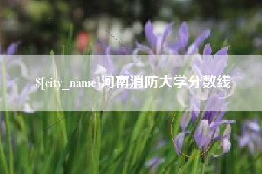 金华河南消防大学分数线