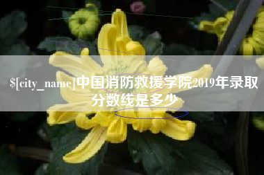 金华中国消防救援学院2019年录取分数线是多少