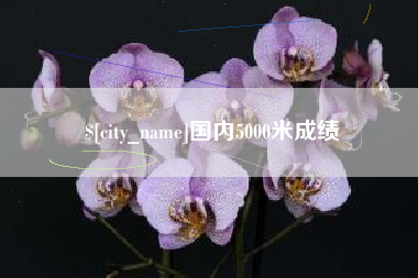金华国内5000米成绩