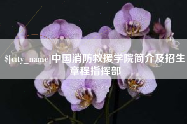 金华中国消防救援学院简介及招生章程指挥部