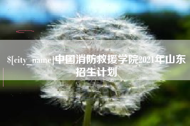 金华中国消防救援学院2021年山东招生计划