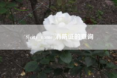 金华消防证的查询