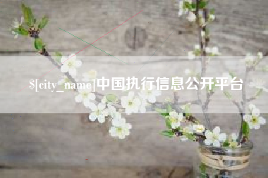 金华中国执行信息公开平台