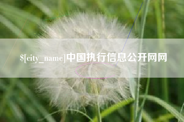 金华中国执行信息公开网网