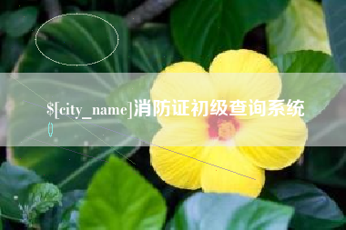 金华消防证初级查询系统