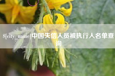 金华中国失信人员被执行人名单查询