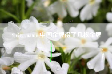金华中国金牌得了几枚金牌