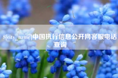 金华中国执行信息公开网客服电话查询
