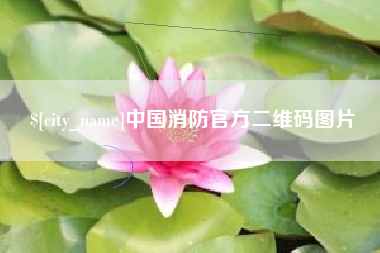 金华中国消防官方二维码图片