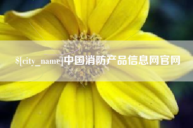 金华中国消防产品信息网官网