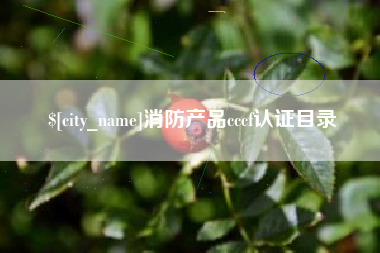 金华消防产品cccf认证目录