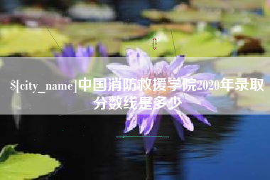 金华中国消防救援学院2020年录取分数线是多少