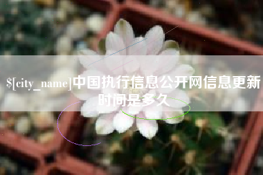金华中国执行信息公开网信息更新时间是多久