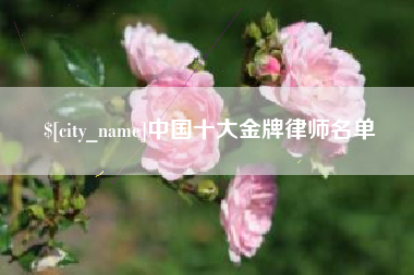 金华中国十大金牌律师名单