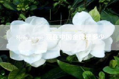 金华现在中国金牌是多少
