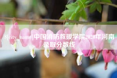 金华中国消防救援学院2020年河南录取分数线