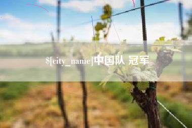 金华中国队 冠军