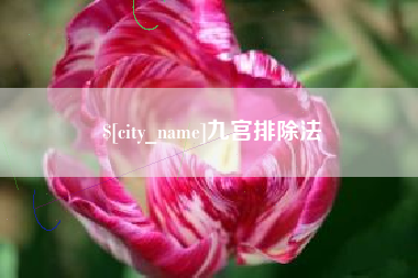 金华九宫排除法