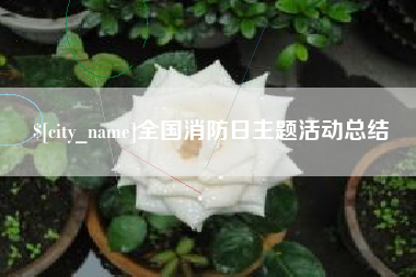 金华全国消防日主题活动总结