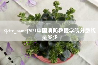 金华2021中国消防救援学院分数线是多少