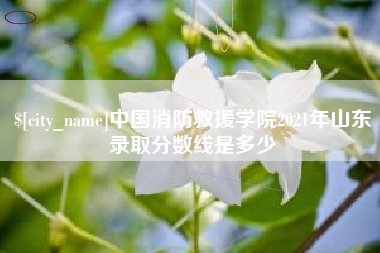 金华中国消防救援学院2021年山东录取分数线是多少