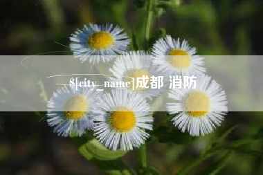 金华成都 消防