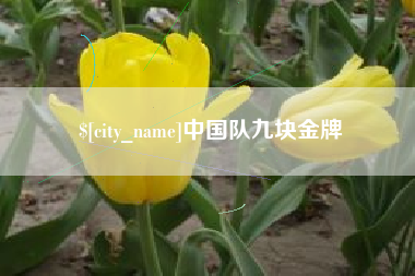 金华中国队九块金牌