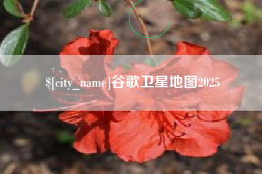 金华谷歌卫星地图2025