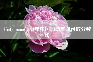 金华2021年中国消防学院录取分数线
