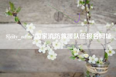 金华国家消防救援队伍报名网址