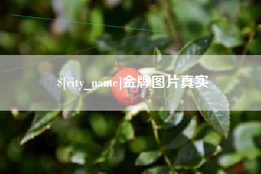 金华金牌图片真实