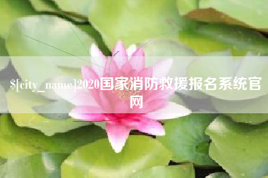 金华2020国家消防救援报名系统官网