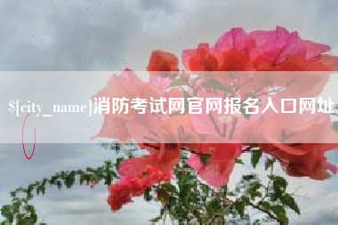 金华消防考试网官网报名入口网址