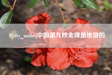 金华中国第九枚金牌是谁得的