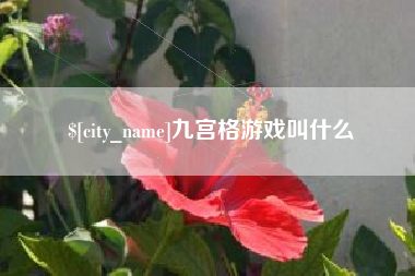 金华九宫格游戏叫什么