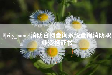 金华消防官网查询系统查询消防职业资格证书