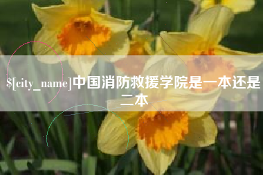 金华中国消防救援学院是一本还是二本