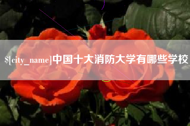 金华中国十大消防大学有哪些学校