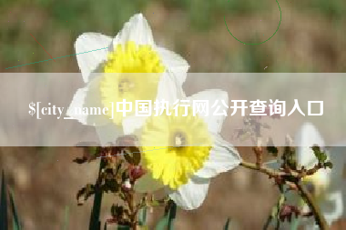 金华中国执行网公开查询入口