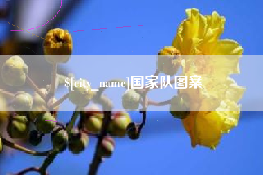 金华国家队图案