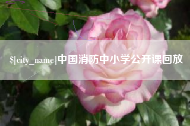 金华中国消防中小学公开课回放