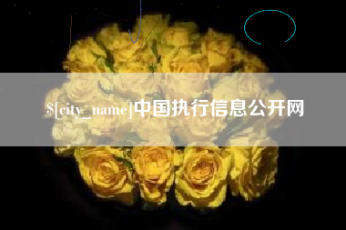 金华中国执行信息公开网