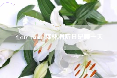 金华森林消防日是哪一天